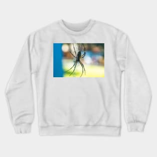 Argiope aurantia Crewneck Sweatshirt